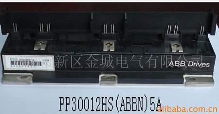 現貨庫存供應模塊PP30012HS(ABBN)5A